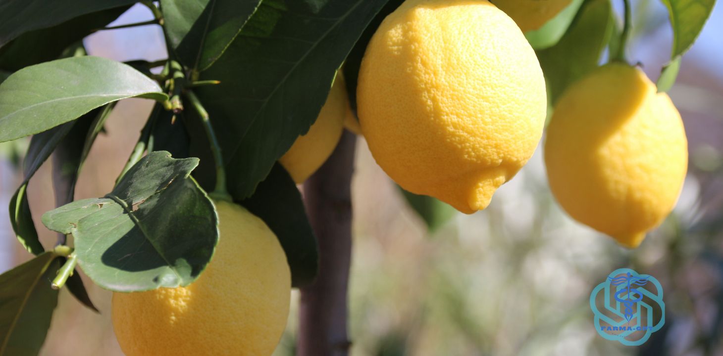 Proprietà benefiche del limone